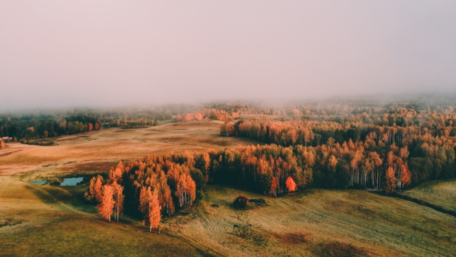 Latvijas ainava