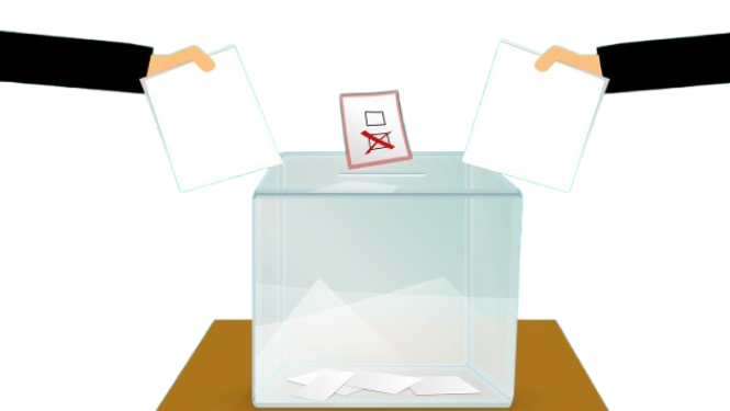 vote