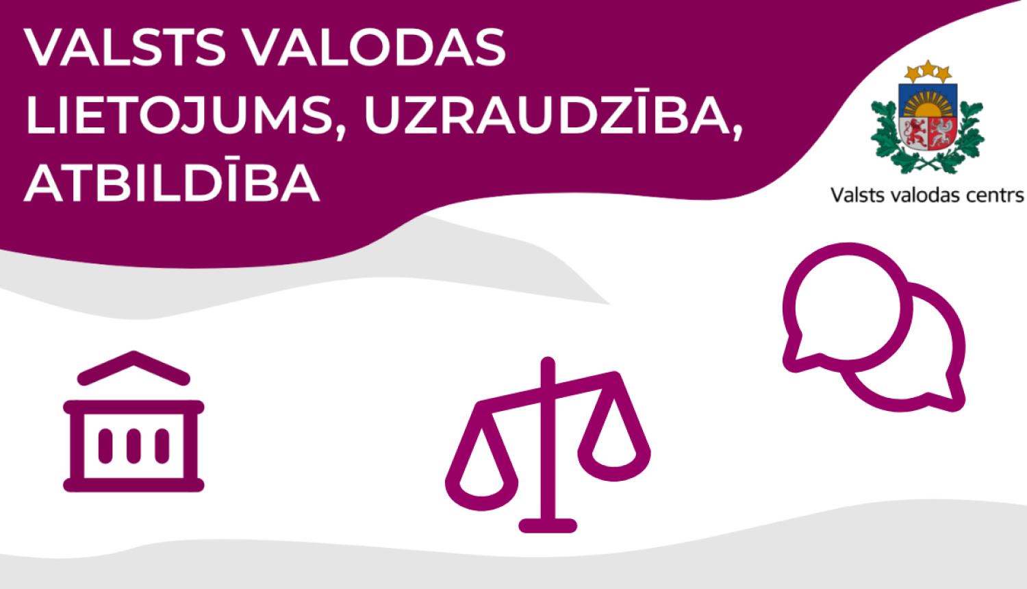 Valsts valodas lietojums, uzraudzība, atbildība